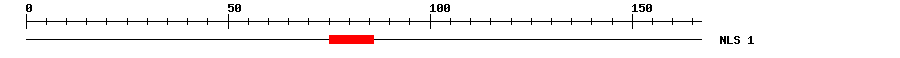 NLS