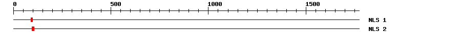 NLS