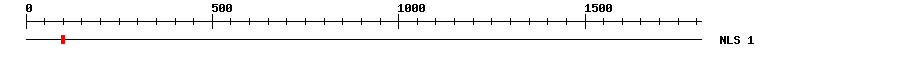 NLS