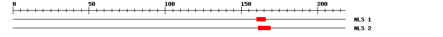 NLS