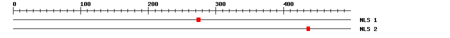 NLS
