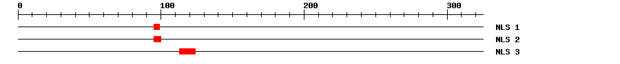 NLS