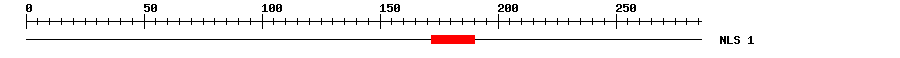 NLS