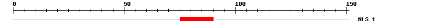 NLS
