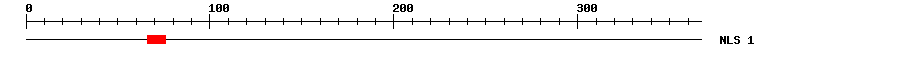 NLS