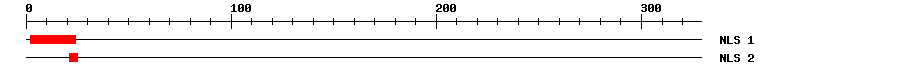 NLS