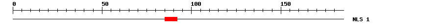 NLS