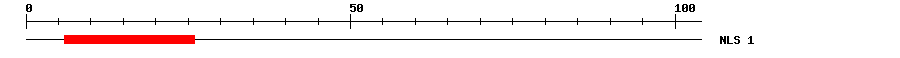 NLS