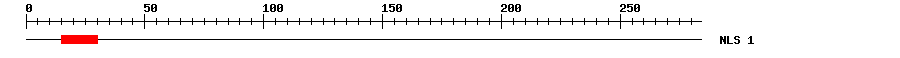 NLS