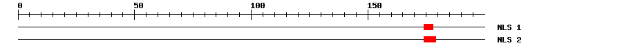 NLS