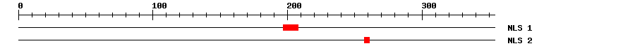 NLS
