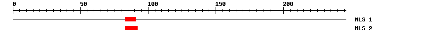NLS