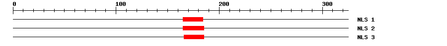 NLS