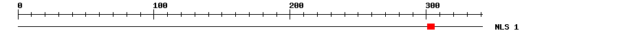 NLS