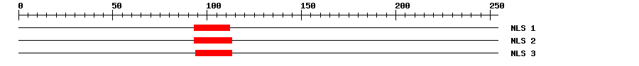 NLS