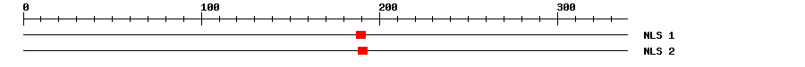 NLS