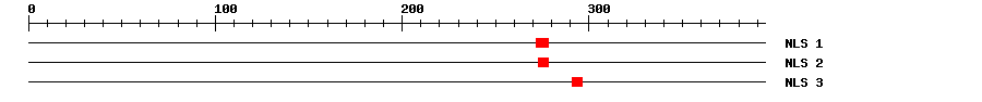 NLS