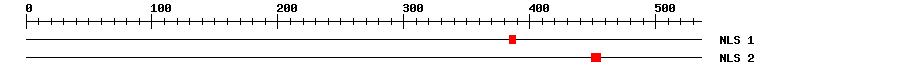 NLS