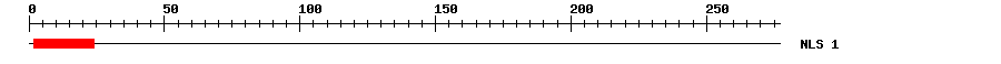 NLS