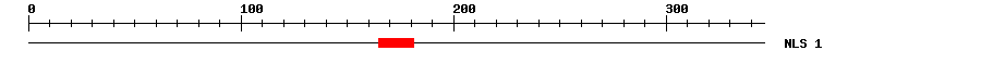 NLS