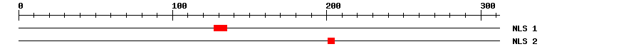 NLS