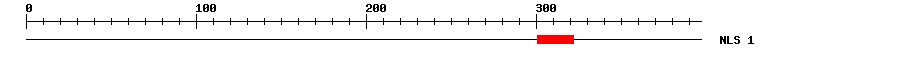 NLS