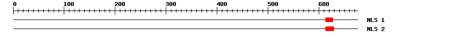 NLS