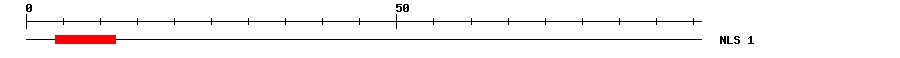 NLS