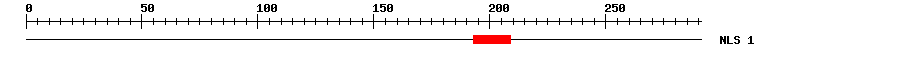NLS