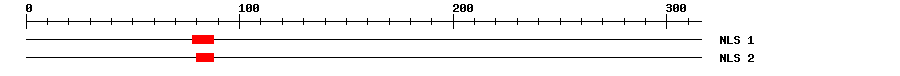 NLS