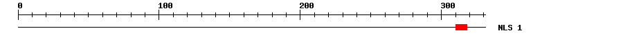 NLS