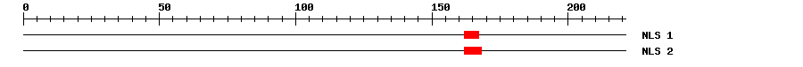 NLS