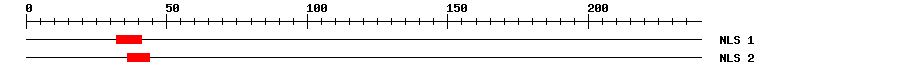 NLS