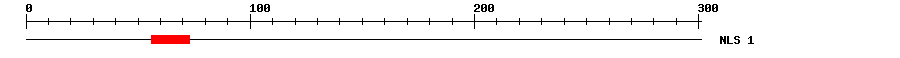 NLS