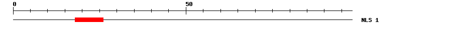 NLS