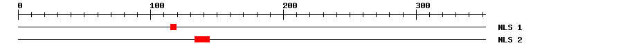 NLS