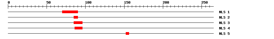 NLS
