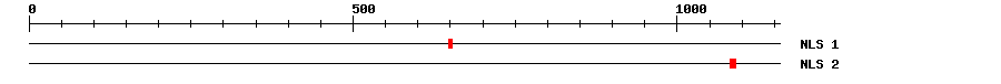 NLS