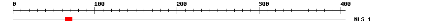 NLS