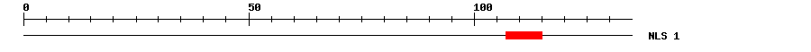 NLS