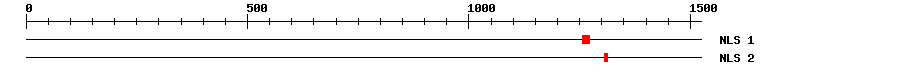 NLS