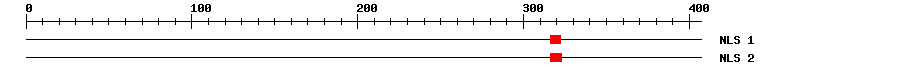 NLS