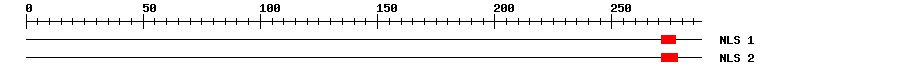 NLS