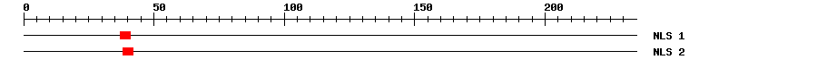 NLS