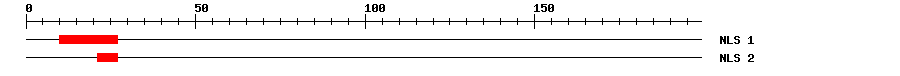 NLS