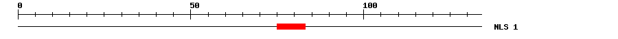 NLS