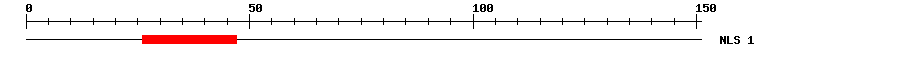 NLS
