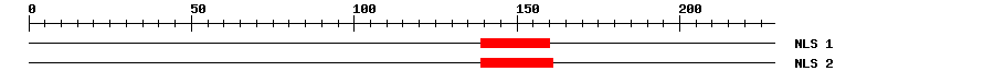 NLS
