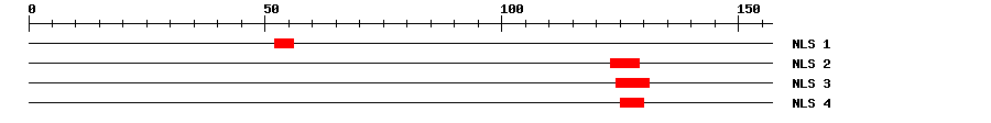 NLS