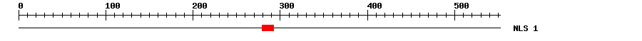 NLS